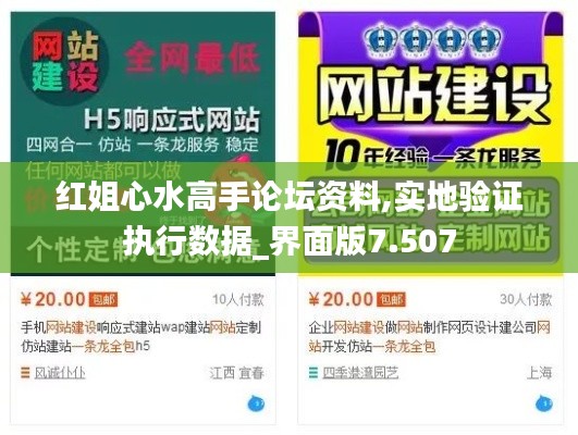 红姐心水高手论坛资料,实地验证执行数据_界面版7.507