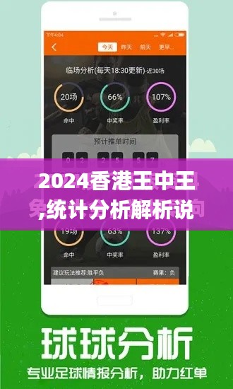 2024香港王中王,统计分析解析说明_iPad8.683