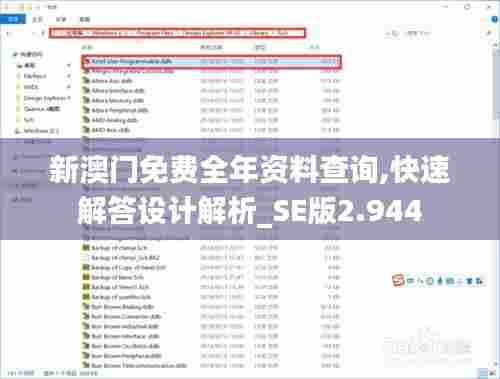 新澳门免费全年资料查询,快速解答设计解析_SE版2.944