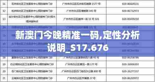 新澳门今晚精准一码,定性分析说明_S17.676