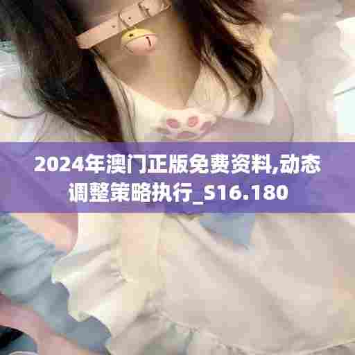 2024年澳门正版免费资料,动态调整策略执行_S16.180