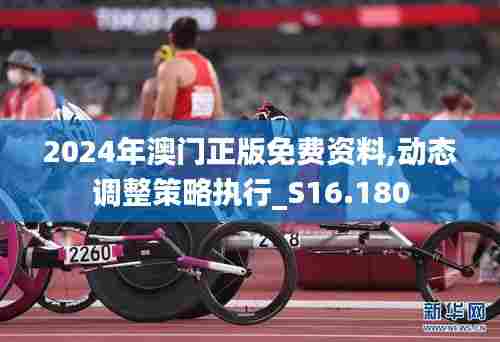 2024年澳门正版免费资料,动态调整策略执行_S16.180