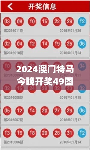 2024澳门特马今晚开奖49图,统计评估解析说明_运动版3.764