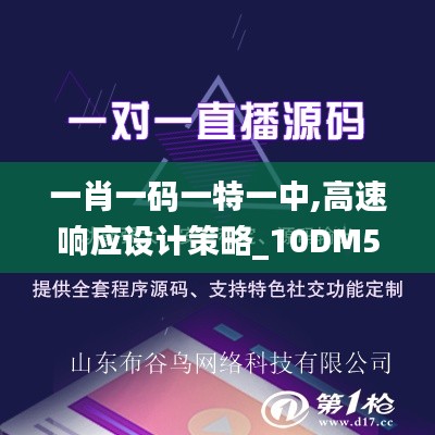 一肖一码一特一中,高速响应设计策略_10DM5.431
