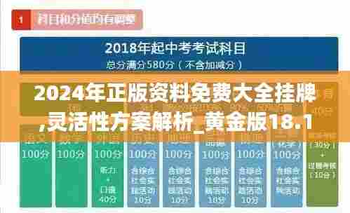2024年正版资料免费大全挂牌,灵活性方案解析_黄金版18.106