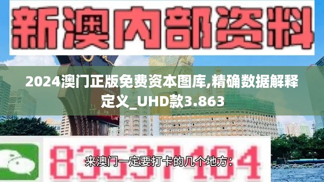 2024澳门正版免费资本图库,精确数据解释定义_UHD款3.863