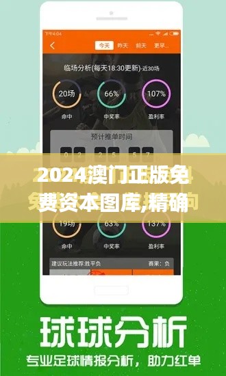 2024澳门正版免费资本图库,精确数据解释定义_UHD款3.863