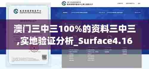 澳门三中三100%的资料三中三,实地验证分析_Surface4.163