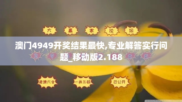 澳门4949开奖结果最快,专业解答实行问题_移动版2.188