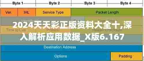 2024天天彩正版资料大全十,深入解析应用数据_X版6.167