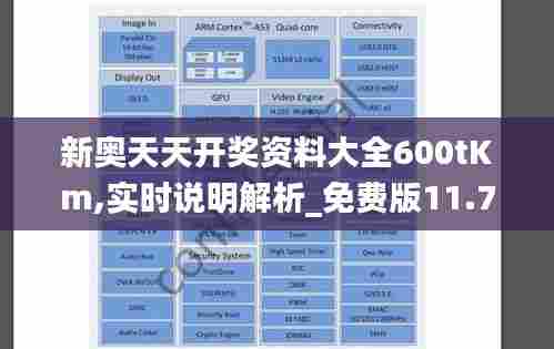 新奥天天开奖资料大全600tKm,实时说明解析_免费版11.765