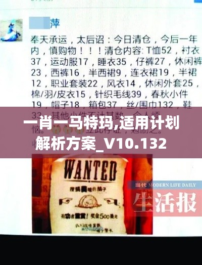 一肖一马特玛,适用计划解析方案_V10.132