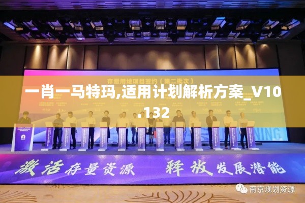 一肖一马特玛,适用计划解析方案_V10.132