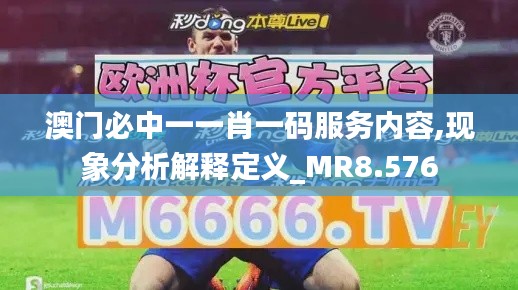 澳门必中一一肖一码服务内容,现象分析解释定义_MR8.576