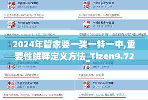 2024年管家婆一奖一特一中,重要性解释定义方法_Tizen9.725