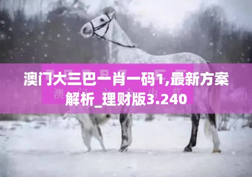 澳门大三巴一肖一码1,最新方案解析_理财版3.240