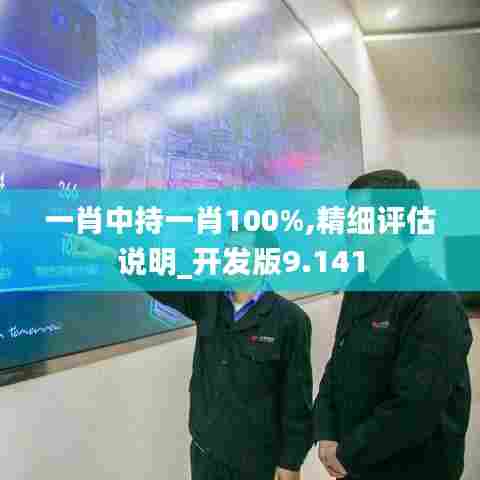 一肖中持一肖100%,精细评估说明_开发版9.141