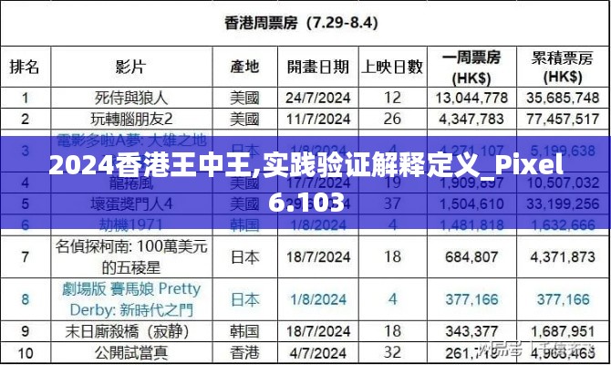 2024香港王中王,实践验证解释定义_Pixel6.103