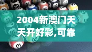 2004新澳门天天开好彩,可靠计划执行策略_精英款7.424
