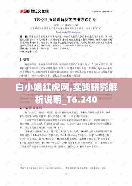 白小姐红虎网,实践研究解析说明_T6.240