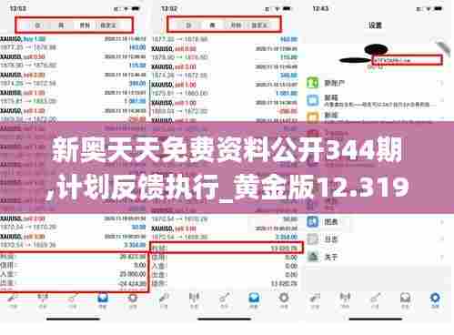 新奥天天免费资料公开344期,计划反馈执行_黄金版12.319