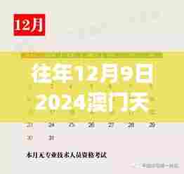 往年12月9日2024澳门天天开好彩大全开奖结果,计划反馈执行_Tizen2.158