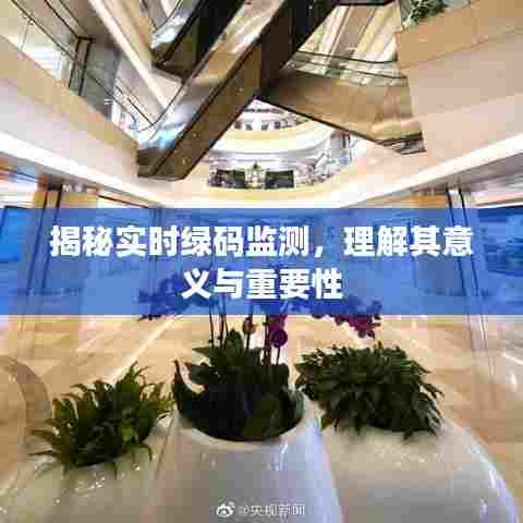 揭秘实时绿码监测,意义与重要性解析