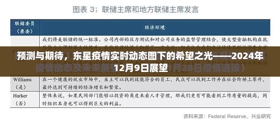 东星疫情实时动态图下的展望,预测与期待——2024年12月9日展望
