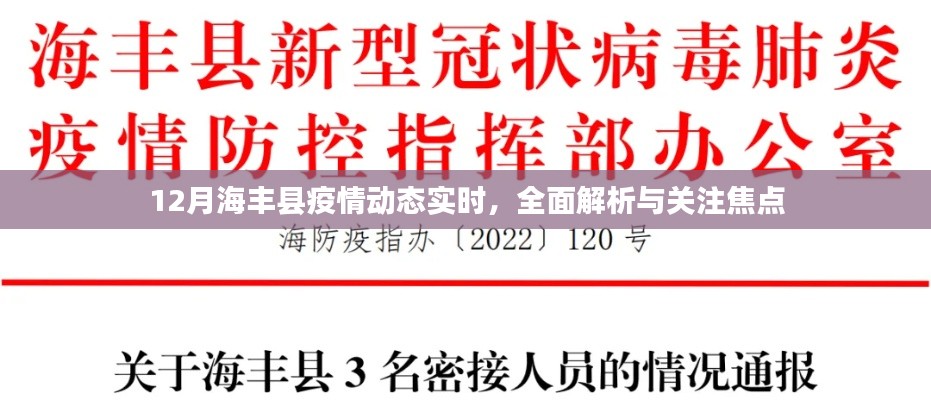 12月海丰县疫情动态全面解析与关注焦点实时更新