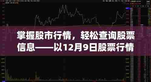 掌握股市行情,详解股票信息实时查询流程——以12月9日为例