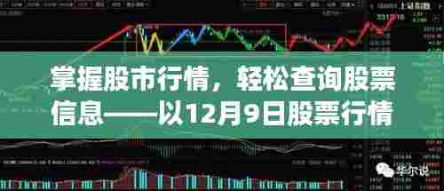 掌握股市行情,详解股票信息实时查询流程——以12月9日为例