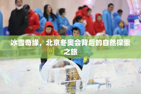 北京冬奥会背后的自然探索之旅,冰雪奇缘