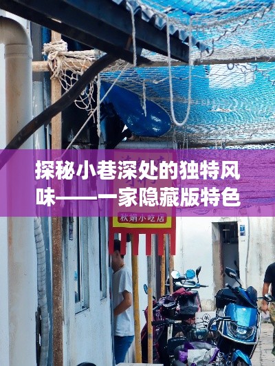 探秘小巷深处的独特风味,实时记录观察一家隐藏版特色小店的奇妙之旅