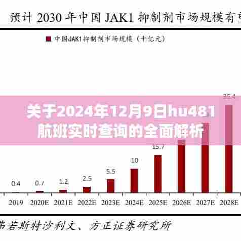 2024年12月9日hu481航班实时查询全面解析及最新动态
