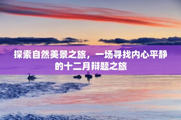 十二月辩题之旅,探寻自然美景与内心平静之旅