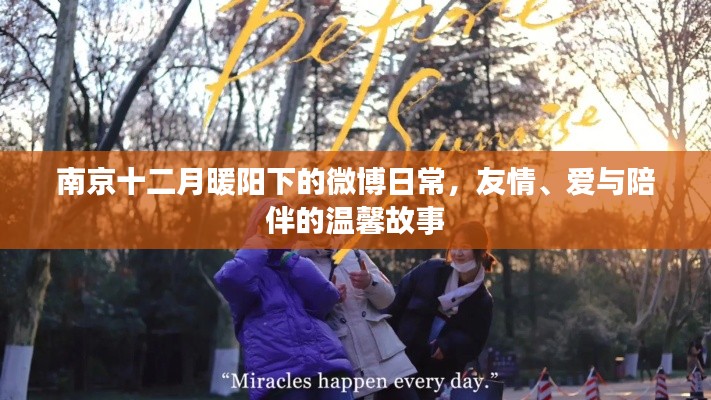 南京暖阳下的微博日常,友情、爱与陪伴的温馨篇章