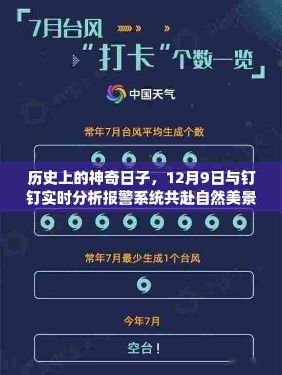 神奇历史日,钉钉实时分析报警系统引领自然美景之旅的启程日