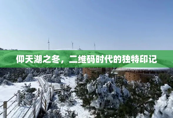 仰天湖冬韵,二维码时代的独特印记