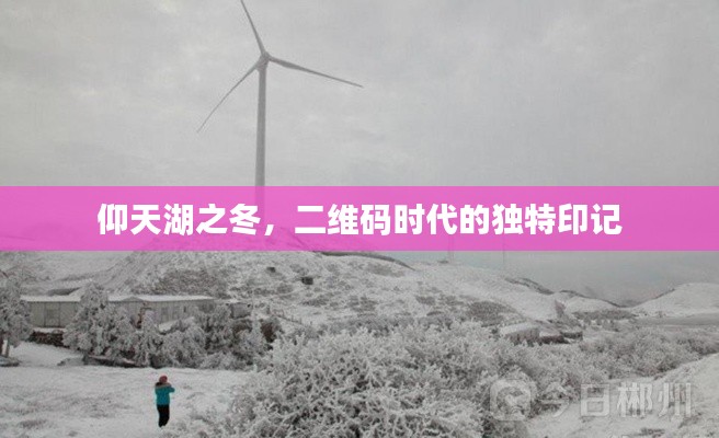 仰天湖冬韵,二维码时代的独特印记