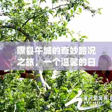 隰县午城的日常奇妙之旅,温馨路况之旅