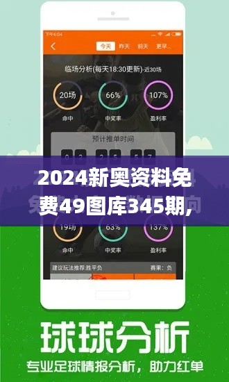 2024新奥资料免费49图库345期,权威分析说明_V210.539