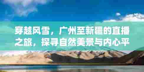 广州至新疆穿越风雪直播之旅,探寻自然美景与内心宁静之道