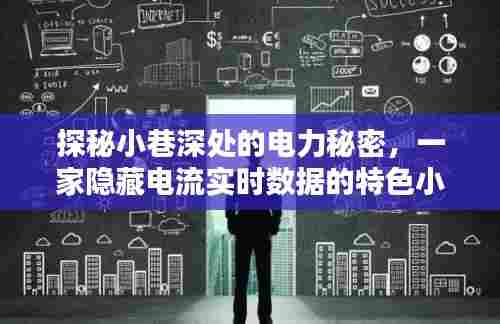 探秘小巷深处的电力秘密,一家实时数据展示的特色电力小店。