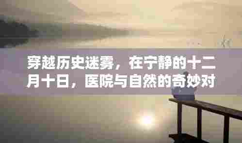 穿越历史迷雾,医院与自然在宁静十二月的奇妙对话