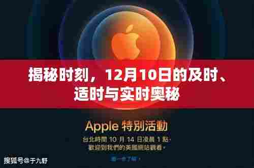 揭秘12月10日的实时奥秘，及时、适时之秘密揭晓