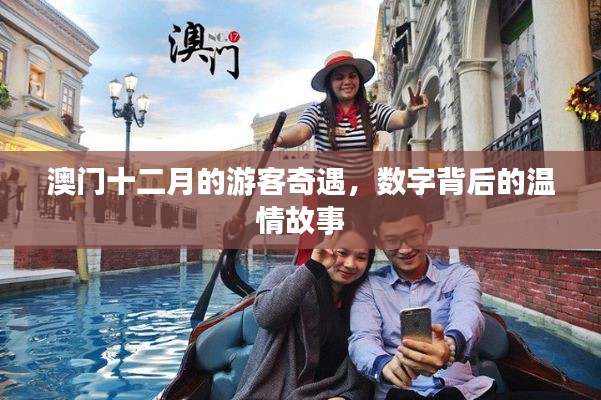 澳门十二月,游客奇遇与数字背后的温情故事