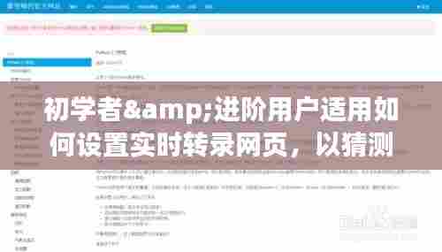 如何设置实时转录网页，适合初学者与进阶用户（参考日期，2024年12月10日）