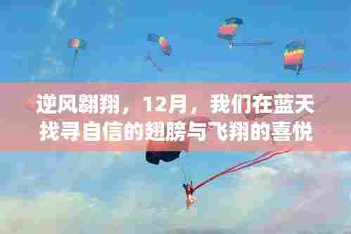 逆风翱翔，蓝天下的自信翅膀与飞翔喜悦探寻之旅
