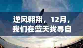 逆风翱翔,蓝天下的自信翅膀与飞翔喜悦探寻之旅