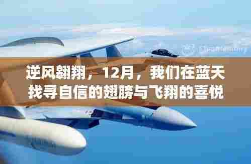 逆风翱翔,蓝天下的自信翅膀与飞翔喜悦探寻之旅